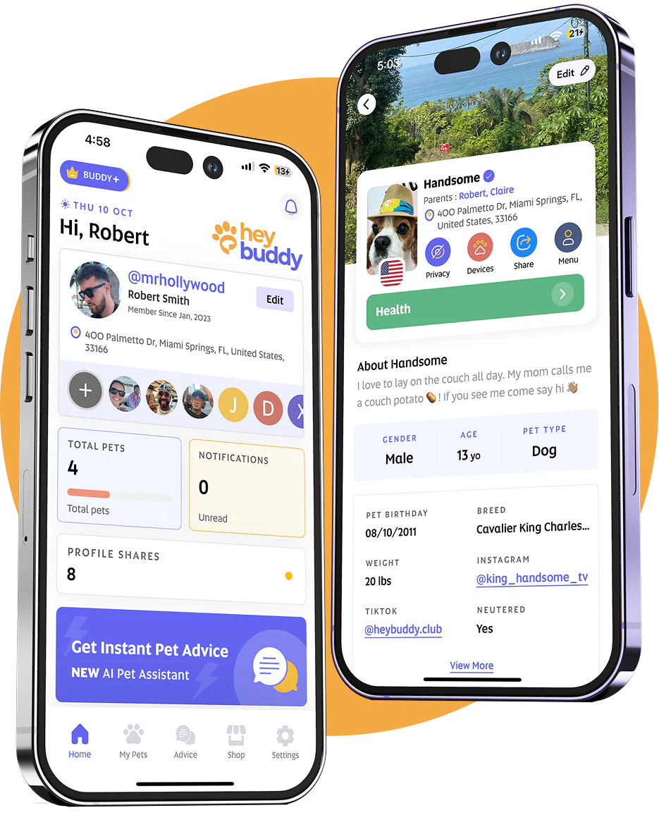 App Ikis Pet